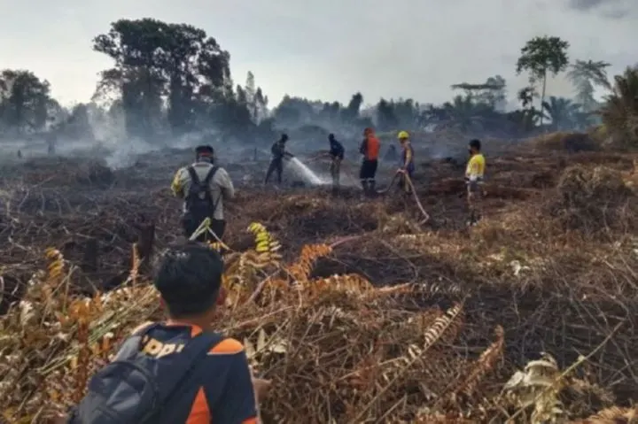 Jumlah titik panas atau hotspot yang menjadi indikasi kebakaran hutan dan lahan (karhutla) secara nasional turun 77,5 persen dalam 24 jam hingga 13 Oktober 2026