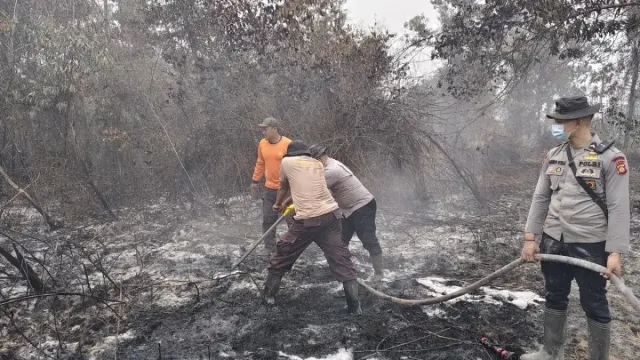 Prabowo Tegaskan Penindakan Karhutla, WALHI Sebut 372 Perusahaan Terindikasi Terbakar