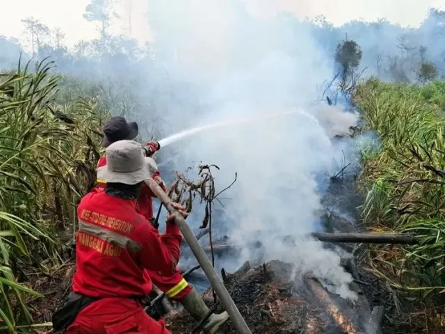 BMKG Catat 886 Titik Panas di Kalbar, Ketapang Dominasi Hotspot