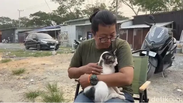 Dampak Karhutla di Banjarmasin: Kucing Jalanan Turut Mengalami Sesak Napas dan Mata Berair